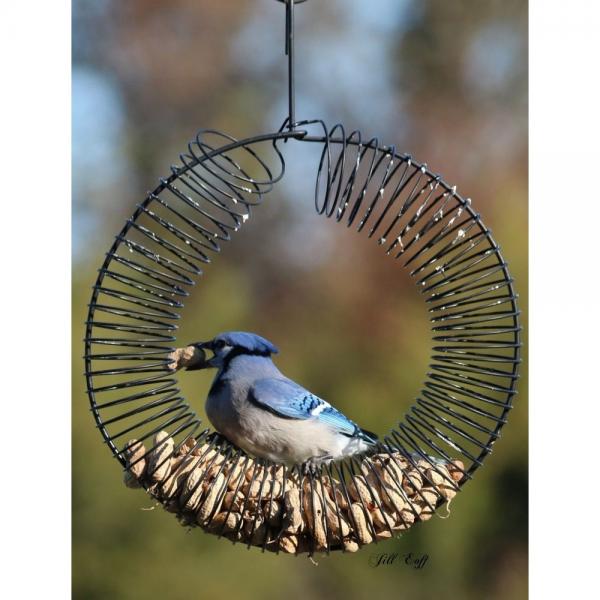 Whole Peanut Wreath Feeder- 3 Colors